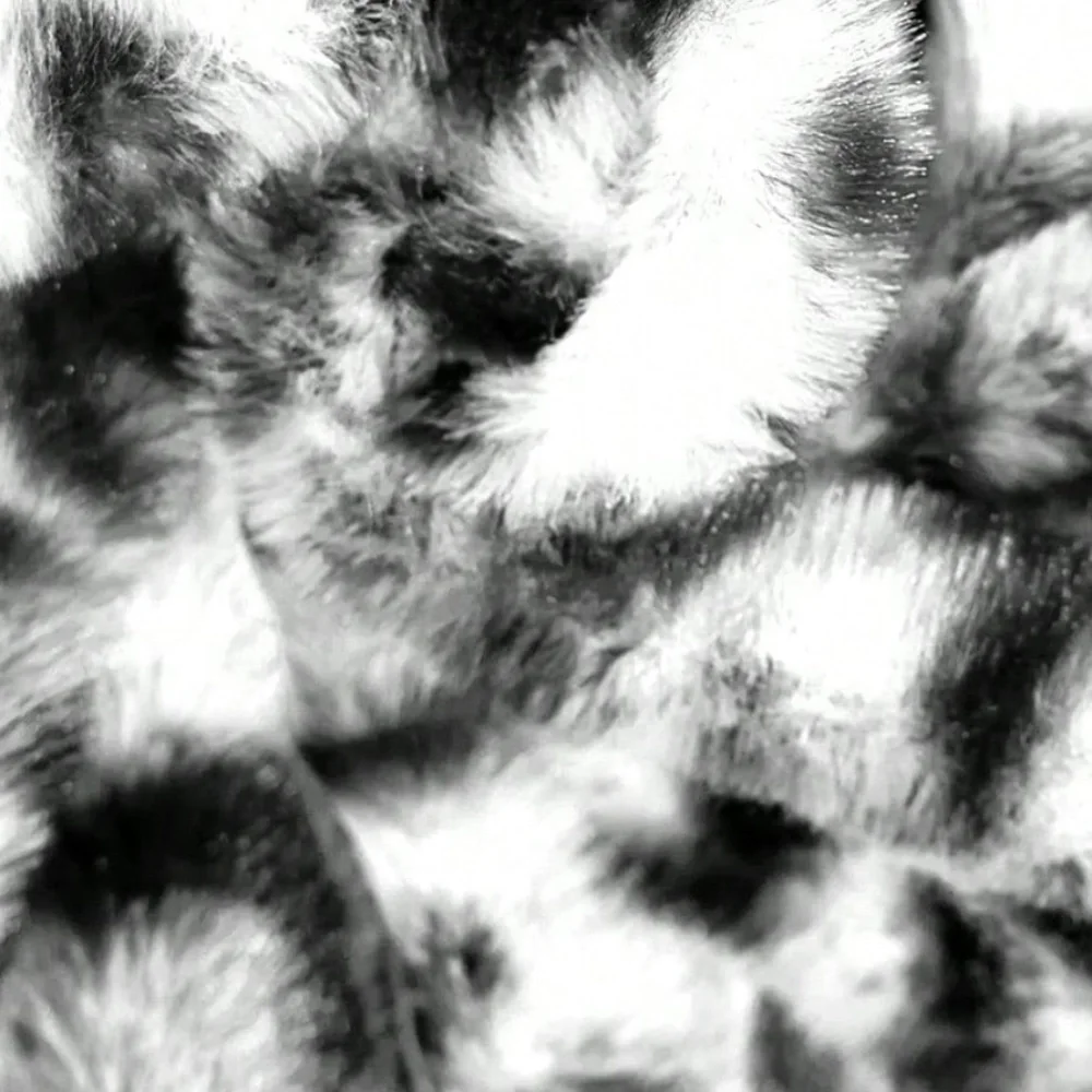 Plus Vegan Fur Leopard Print Open Front Jacket Coat - Picture 8 of 9
